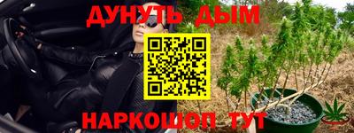 трава Уссурийск