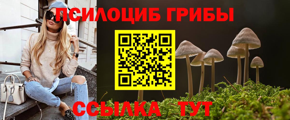 Галлюциногенные грибы GOLDEN TEACHER  Вход с VPN  Амурск  Псилоцибиновые грибы Psilocybine cubensis 