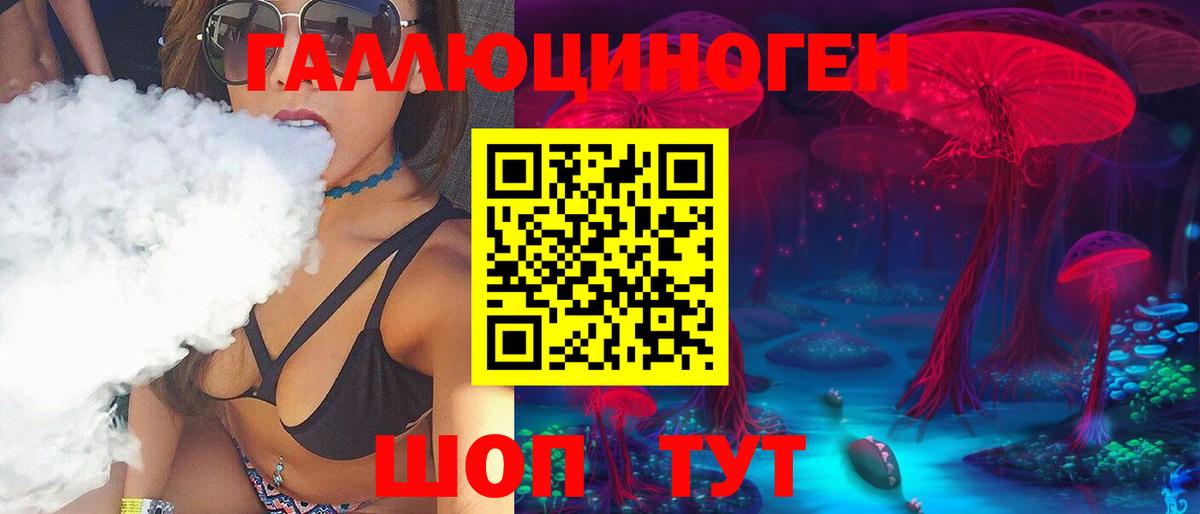 Галлюциногенные грибы Psilocybine cubensis Амурск